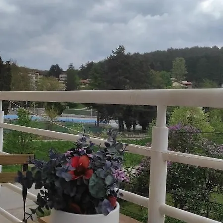 Simona Vrnjačka Banja
