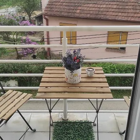 Simona Apartament
