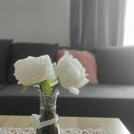 Simona Apartament Vrnjačka Banja